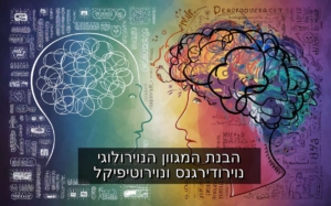 הבנת המגוון הנוירולוגי - נוירודירגנס ונוירוטיפיקל