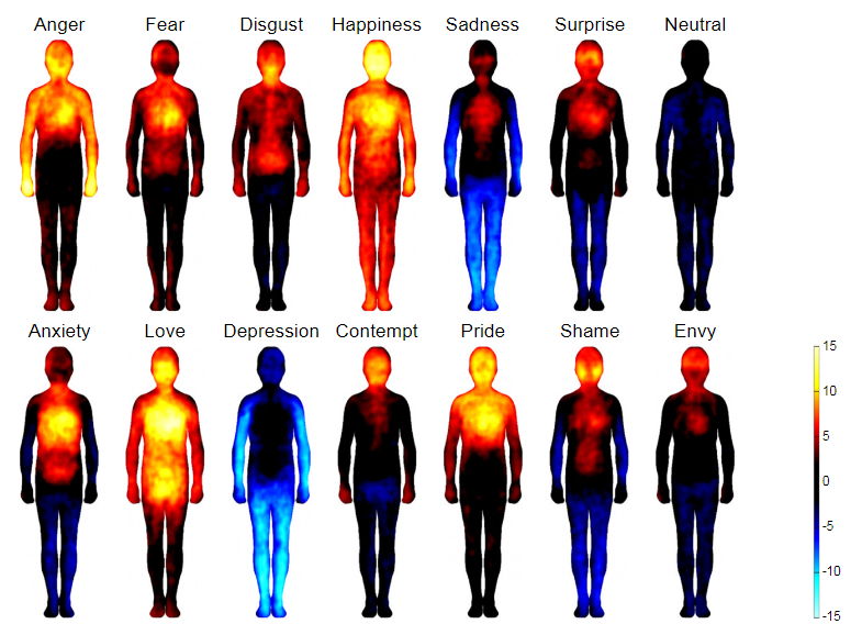 התמונה לקוחה ממחקר Bodily maps of emotions של Lauri Nummenmaa ואחרים (2014), שפורסם ב-PNAS. המחקר מציג מפות גוף ייחודיות לכל רגש בסיסי. (Nummenmaa et al., 2014, doi: 10.1073/pnas.1321664111)